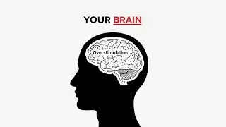 If You Can&rsquo;t Focus for 30 Minutes, Watch This
