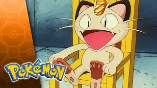 Czy Meowth to najlepszy pokemon w całej grze? 