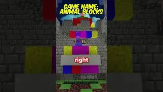 Mini Game with @BockyBockeh in Animal Blocks VR  #animalblocks #animalcompany #vr #gtag #minigame
