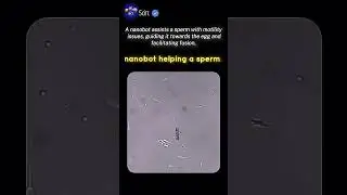 nanobot helping a sperm to moving #technology #innovation #nanobots