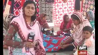 Report on Rilli Making in Sindh