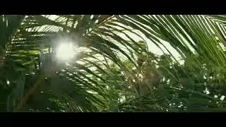Bring Me The Mayhem