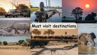 5 Game Reserves you need to see!! Southern Africa's best nature GEMS!