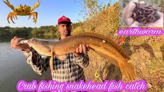 Crab fishing Snakehead fish catch murrel fishing India gulbarga fishing #crabfishing