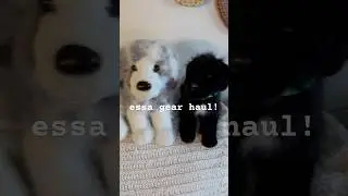 essa gear haul! 🐶 #essa #emotionalsupportstuffedanimal #essadog