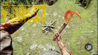 Getting to Know The Forest
