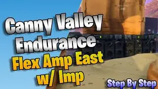 Flex Amplifier East (w/ Imp Amp) Build for Canny Valley Endurance AFK -  Step By Step