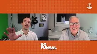 How to Fix Poor Website Performance