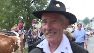 INFO - D&eacute;salpe de Saint-Cergue