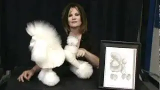 finish Model dogs and interview