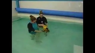 Water baby Inca