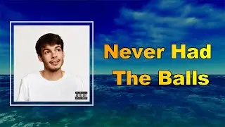 Rex Orange County - Never Had The Balls (Lyrics)