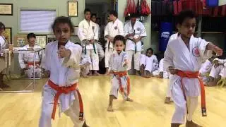 Orange Belts