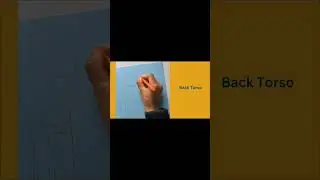 Basic Jacket And Coat Foundations #jacket #jackets #ladiesjacket #ladiesjackets  #coatsleeve
