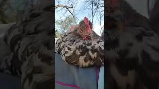 Самая милая девушка... 🥰