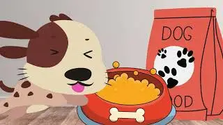 Der Hund I Kinderlied zum Mitsingen I