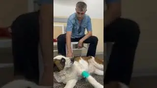 Вылечили Марго благодаря подписчикам 😯