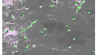 Short clip of microscopy video data obtained for wildtype R. sphaeroides overlaid with cell tracks