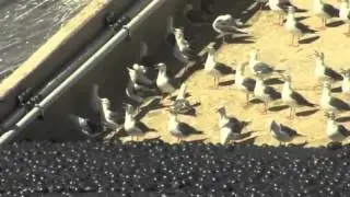 urban water conservation efforts