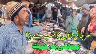 Sarjani town ka sabse bada machhali market#fishcooking 