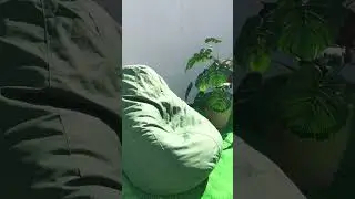 Puff Pera Imperme&aacute;vel - Mercad&atilde;o dos Puffs