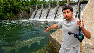 I Tested if Spillways Actually Hold Monster Fish