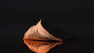 Marco -