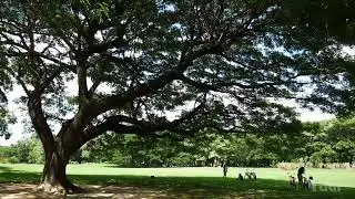 Rot Fai Park, Bangkok #RotFaiPark #Bangkok #Thailand