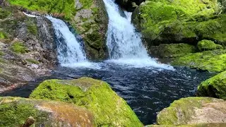 Hidden Forest Oasis | Small Waterfall & Mossy Stones | 10 Hours of Relaxation