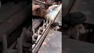 Egg coating process: preserving eggs with a special technique