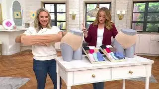 Breezies Seamless Floral Full Brief or Hi-Cut Panties 3 Pack on QVC