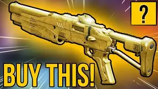 YOU SHOULD BUY THIS SHOTGUN FROM ADA THIS WEEK! (One Of The Best)