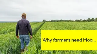 Why farmers need Moa