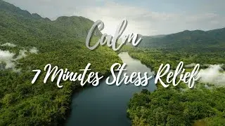 🌲 Walk in the Forest, Meditate Your Mind: A Journey to Tranquility 🍂