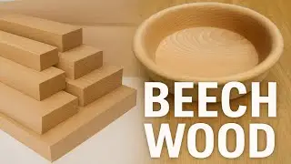 Discover the European Beech Wood Specs