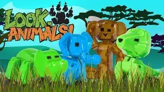 Look, Animals! - Return of the King 👑