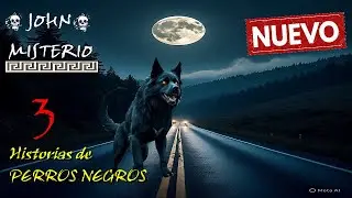 3 historias de PERROS NEGROS 