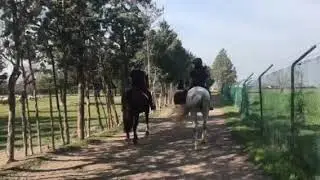 Paseo a caballo en los alrededores de Madrid
