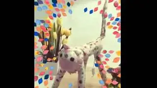 Alpha Living Creative Lovely Animals Design Cotton Floor & Table Lamps