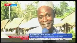 Kwale farmers ditch growing cashewnuts terming proceeds as too little