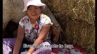  &ldquo;Hay, Lambs, and Muddy Feet!&rdquo;