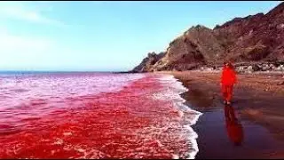 The Most Incredible Phenomena in Nature