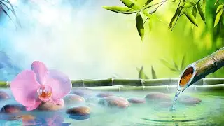 Buddha Instrumental Music BEST Collection ⭐ Buddhism Crystals Music Playlist, Buddhist Songs BGM  🙏