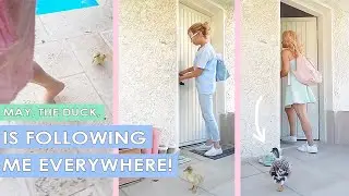 May the DUCK is following me EVERYWHERE! 😍