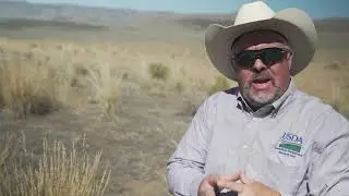 Cheating Cheatgrass