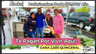 El Estado Que Te Paga Por Vivir Allí   | Serie Alaska - Cap. 4