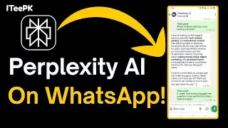 How to Use Perplexity AI on WhatsApp &ndash; No App, No Signup Needed!