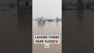 Flood in Lahore.Barkat colony.#flood #chung #flood #lahore lahorepakistan#theempark #chung #lahore