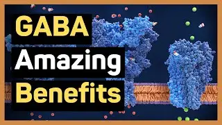 6 Benefits of GABA Supplement