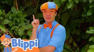 🔵🟠Blippi's Wilderness Adventure!🐸🌲 | Blippi | Moonbug Kids - Space Cartoons for Kids